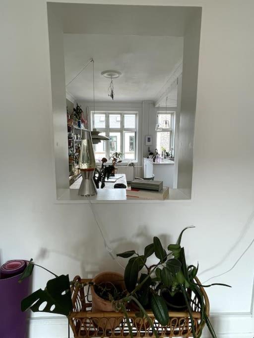 Apartment The Heart Of Norrebro Apartment, Sleeps 4 People Copenhagen
